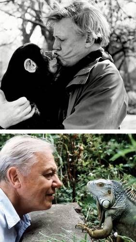 David Attenborough celebra su centenario el 8 de mayo de 2026