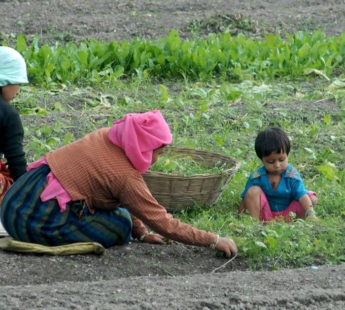Gobierno federal proyecta inversión histórica de 17,266 millones de pesos para el campo de Zacatecas