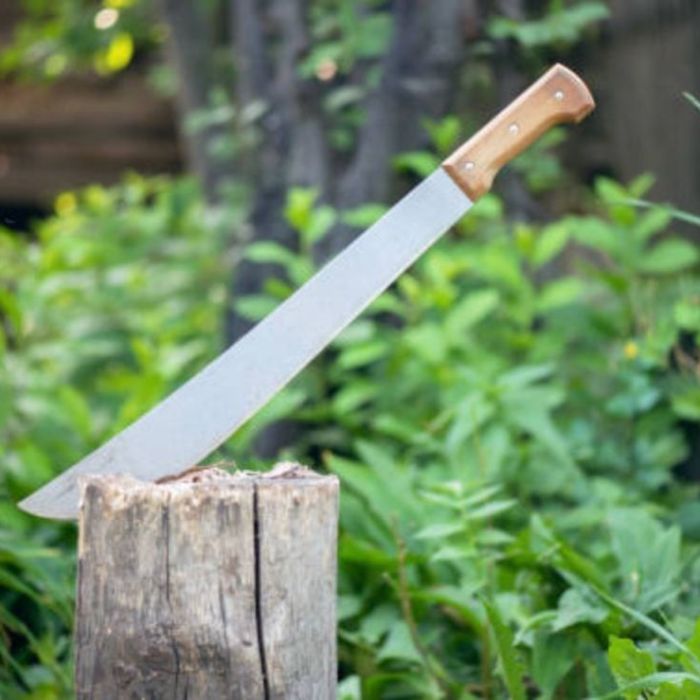 Riña con machetes en El Guayabo, Ahome, deja un herido durante festejos del 1 de mayo