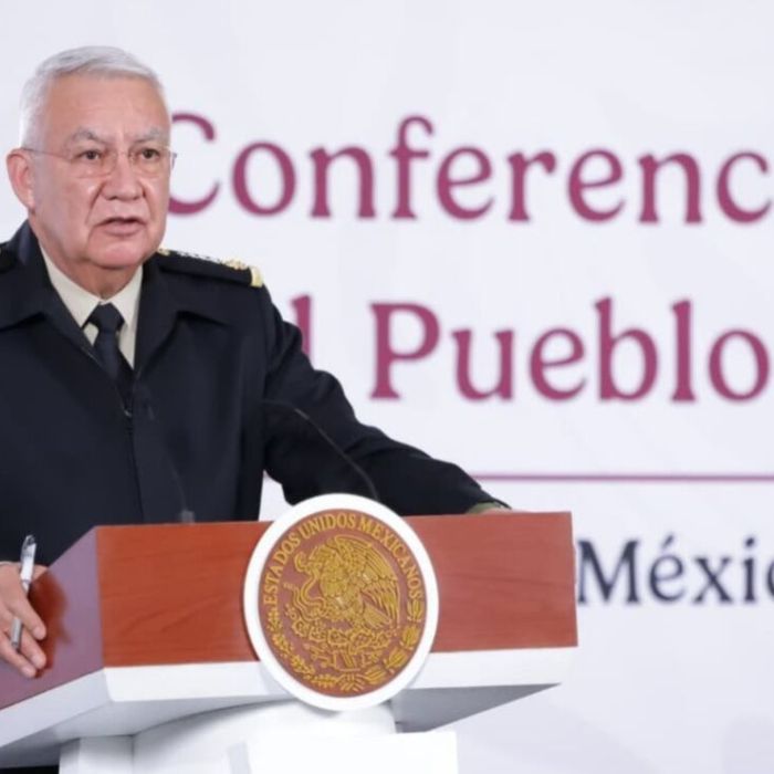 Sedena reporta aseguramiento de 22,413 armas y 192.7 toneladas de droga