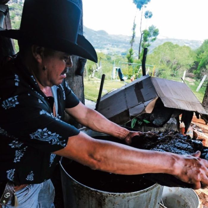 24 productores del Estado de México reciben autorización para usar la denominación de origen del mezcal