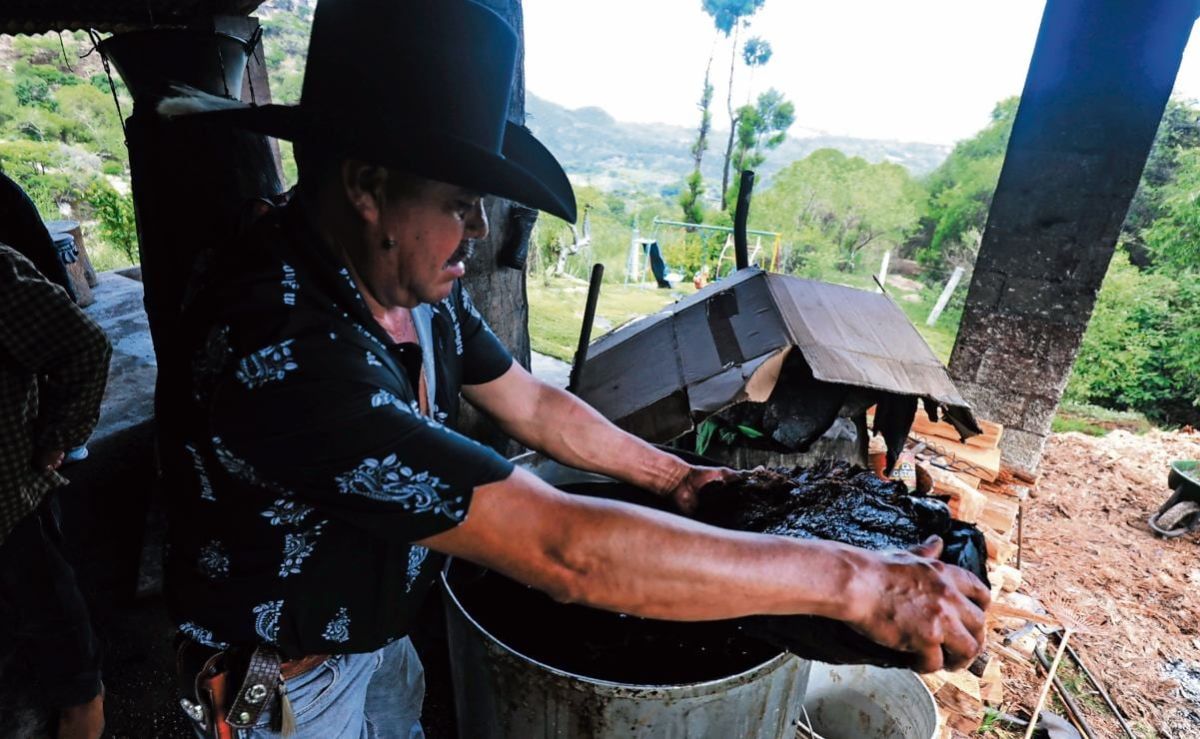 24-productores-del-estado-de-mexico-reciben-autorizacion-para-usar-la-denominacion-de-origen-del-mezcal