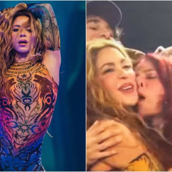 Fan besa a Shakira durante concierto en Estados Unidos; así reaccionó la cantante