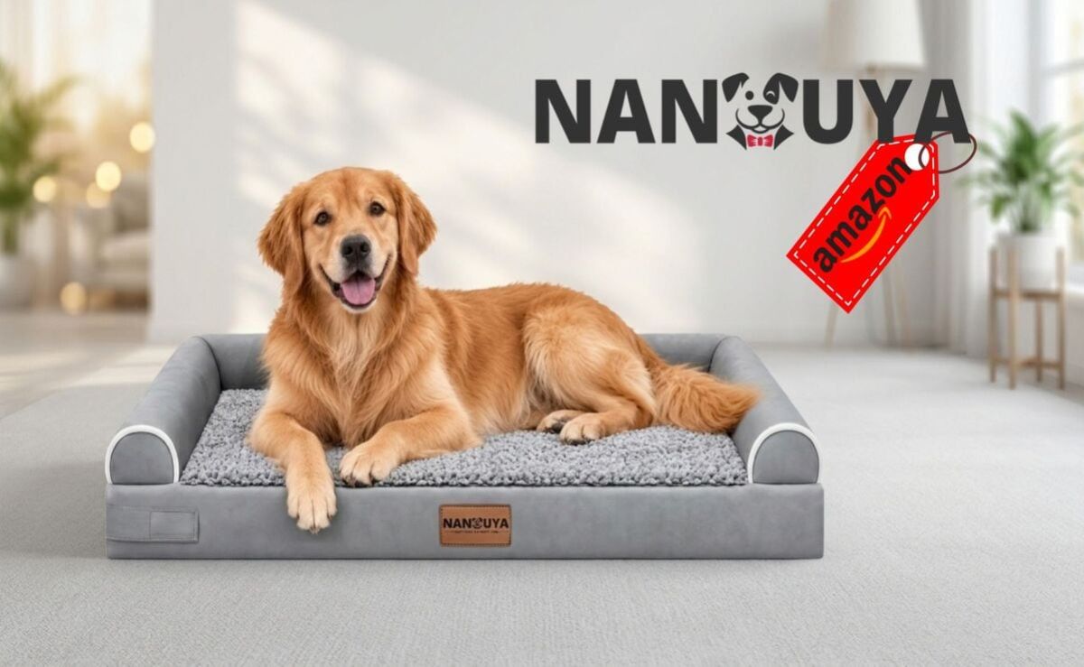 cama-ortopedica-nanuya-para-perros-grandes-baja-a-409-92-en-amazon