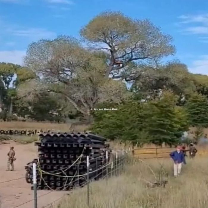 Derriban un árbol de 250 años para avanzar con muro entre Sonora y Arizona