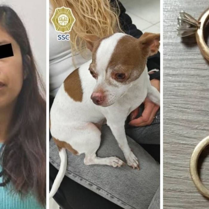 Detienen en Iztapalapa a mujer acusada de exigir anillos de oro para devolver una perrita