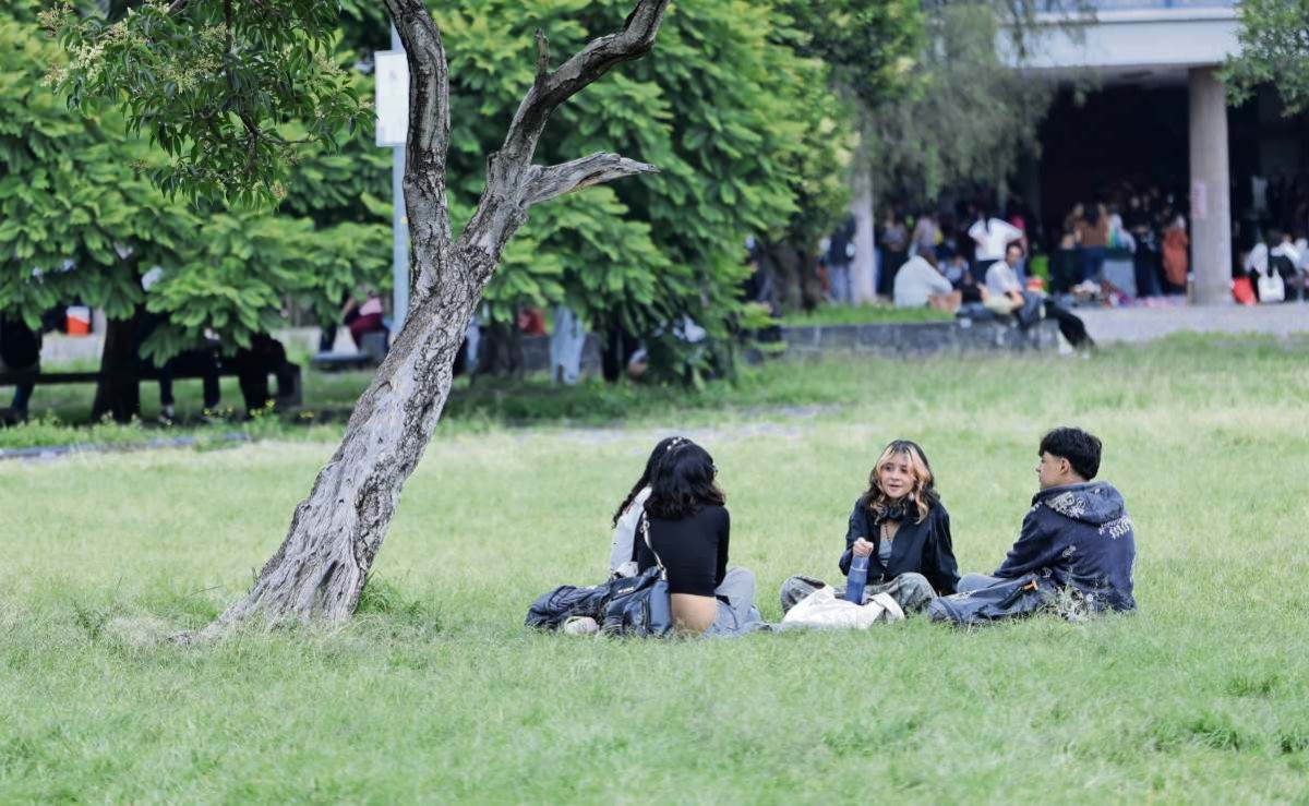 la-cdmx-tiene-mas-personas-solteras-y-menos-hijos-revela-la-encuesta-intercensal-2025