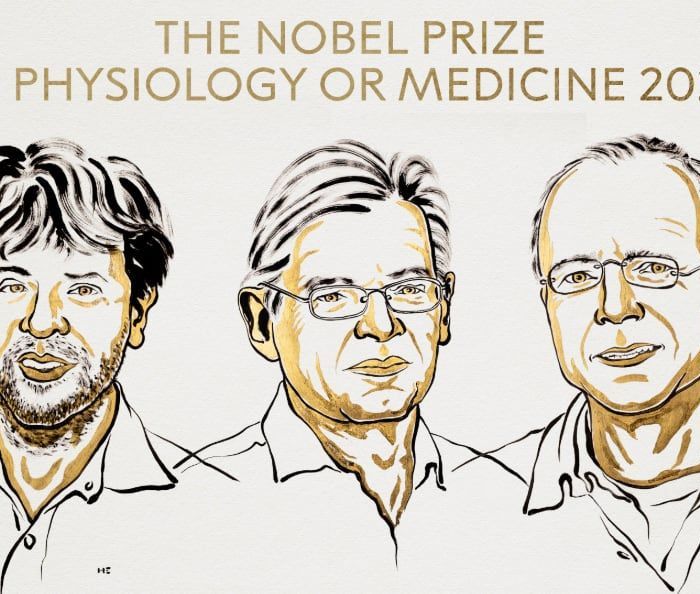 Premio Nobel de Medicina 2026 reconoce avances en canales iónicos activados por luz y optogenética