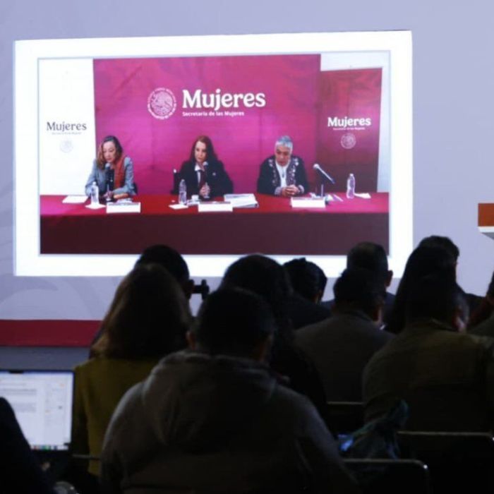 Secretaría de las Mujeres reporta mil 001 Centros LIBRE en todo México